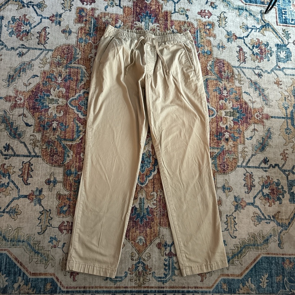 GAP Men's Light Tan Chinos